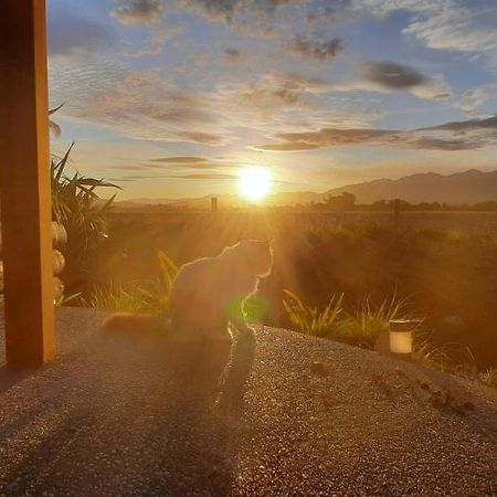 Brook House B&B & Cottages Kaikoura Exteriér fotografie