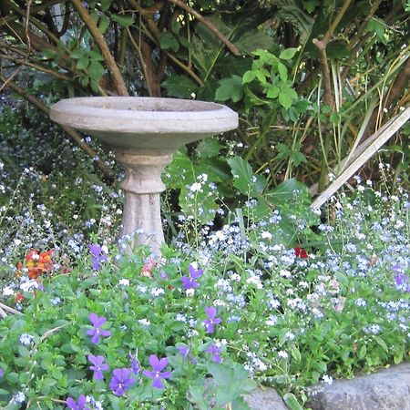 Brook House B&B & Cottages Kaikoura Exteriér fotografie