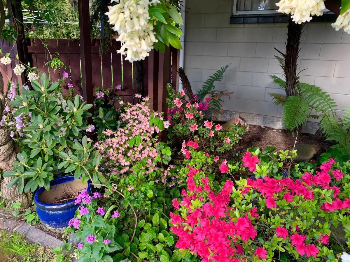 Brook House B&B & Cottages Kaikoura Exteriér fotografie