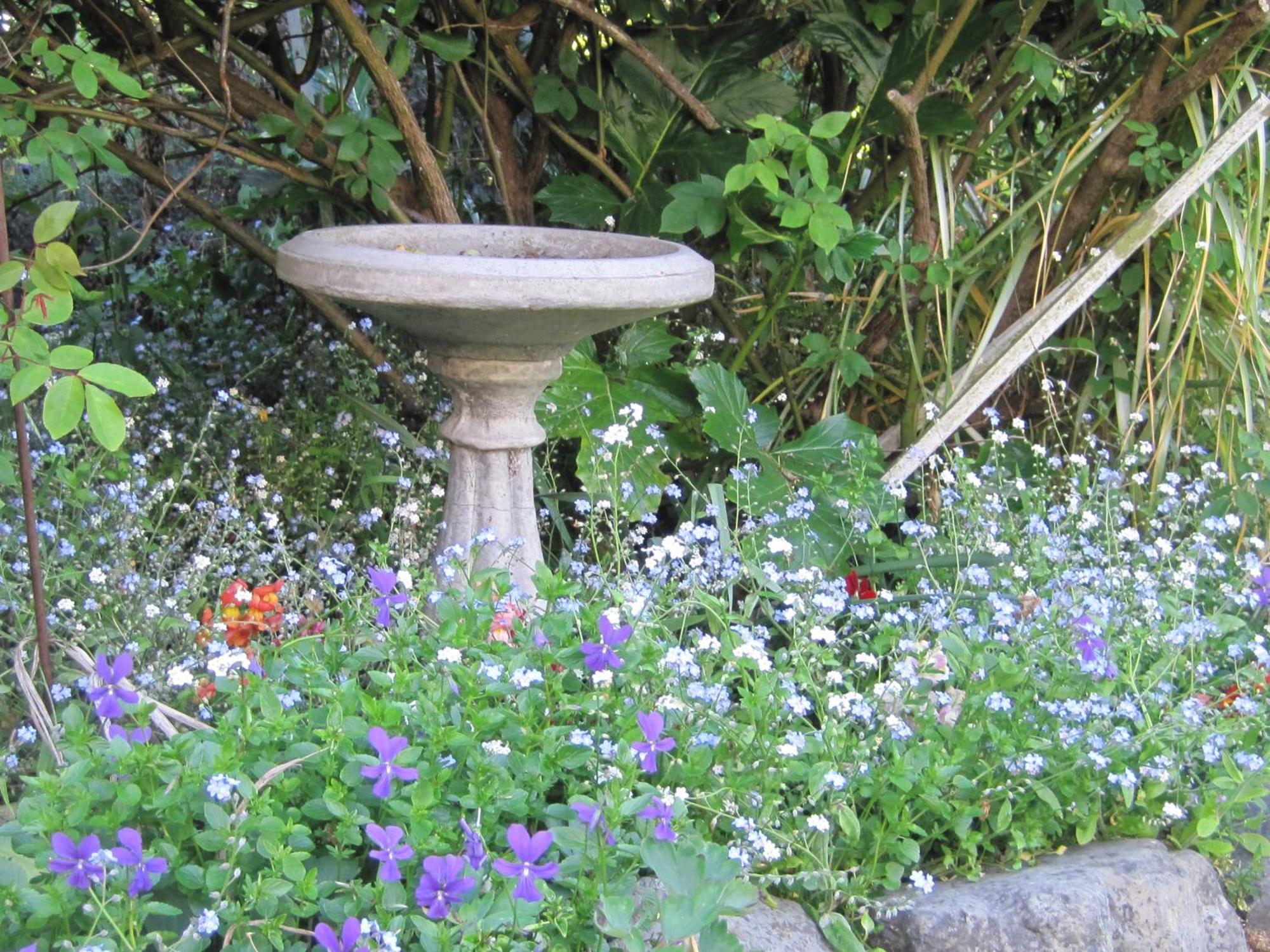 Brook House B&B & Cottages Kaikoura Exteriér fotografie